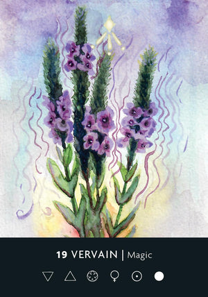 The Ritual Deck: A 52-Card Deck and Guidebook || Cassie Uhl