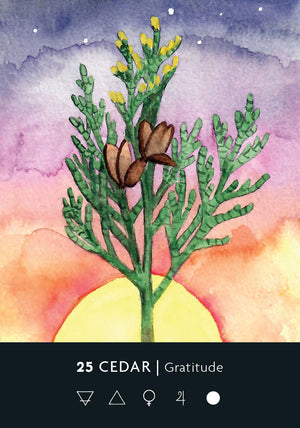 The Ritual Deck: A 52-Card Deck and Guidebook || Cassie Uhl