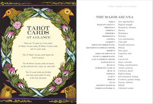 Introduction to Tarot: Beginner-Friendly 246-Page Guidebook, Learn Tarot Meanings for Rider-Waite® and Crowley Thoth Decks, Illustrated Instruction Book for Beginners || Susan Levitt