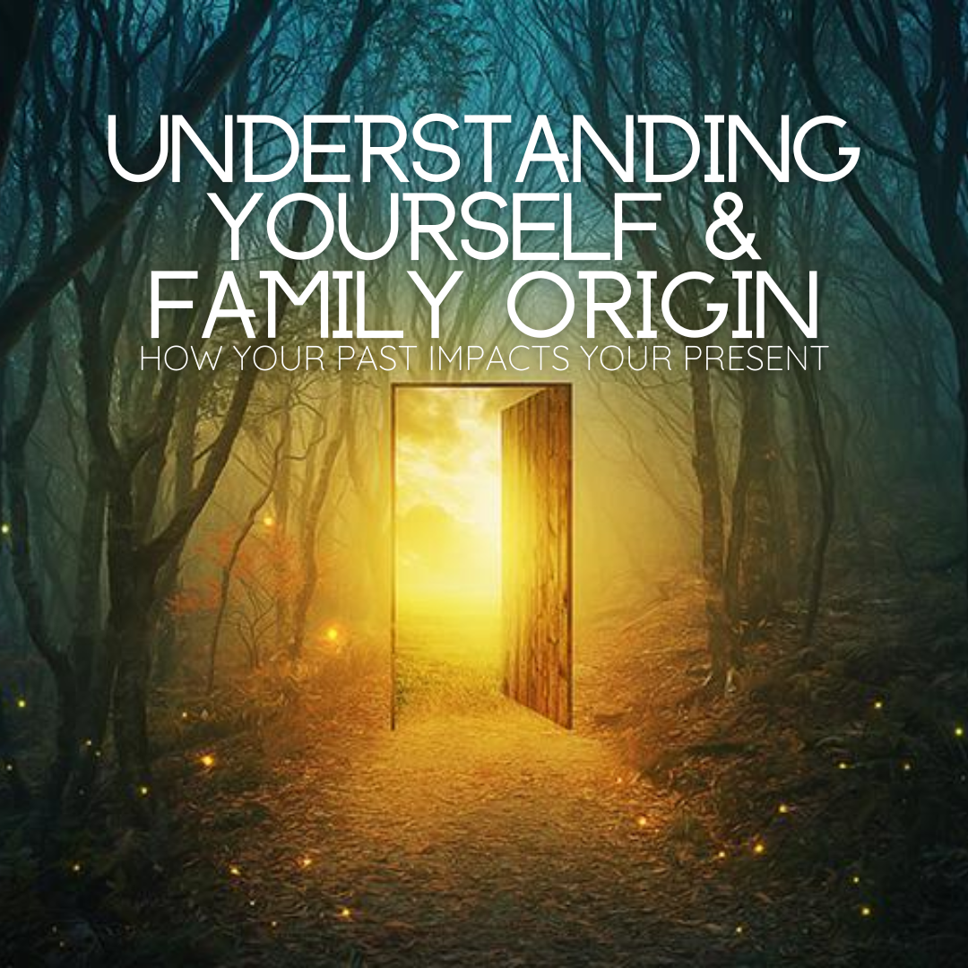 Understanding Yourself & Family Origin: How Your Past Impacts Your Present - Sunday, March 3 1-3pm