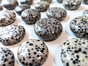 Dalmatian Jasper UFO Palm Stone