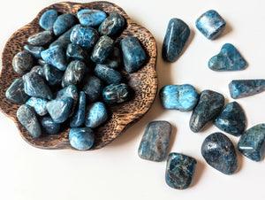 Apatite Crystal Tumbled Stones