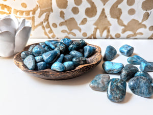 Apatite Crystal Tumbled Stones