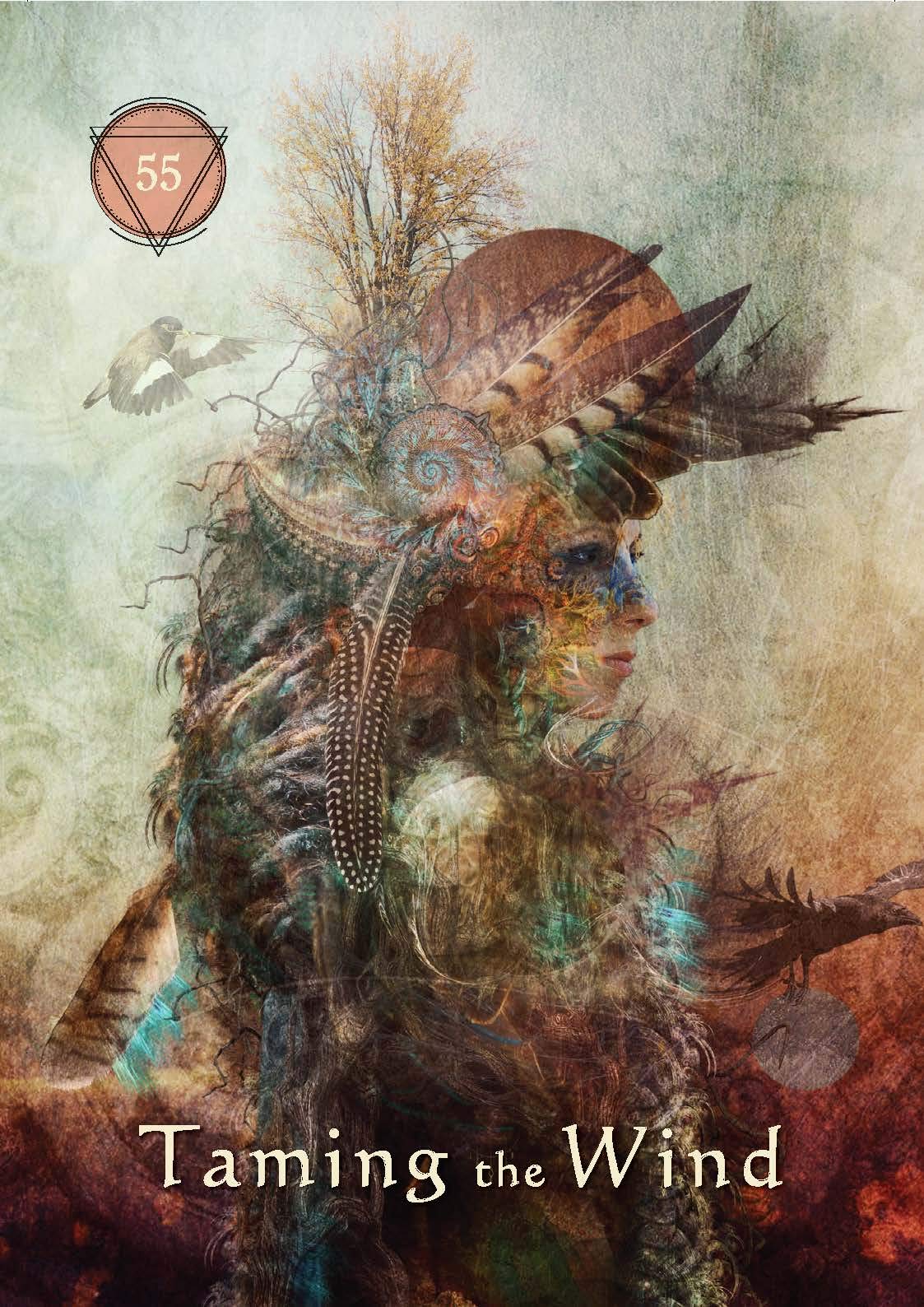 Mystical Shaman Oracle Cards || Alberto Villoldo & Colette Baron-Reid