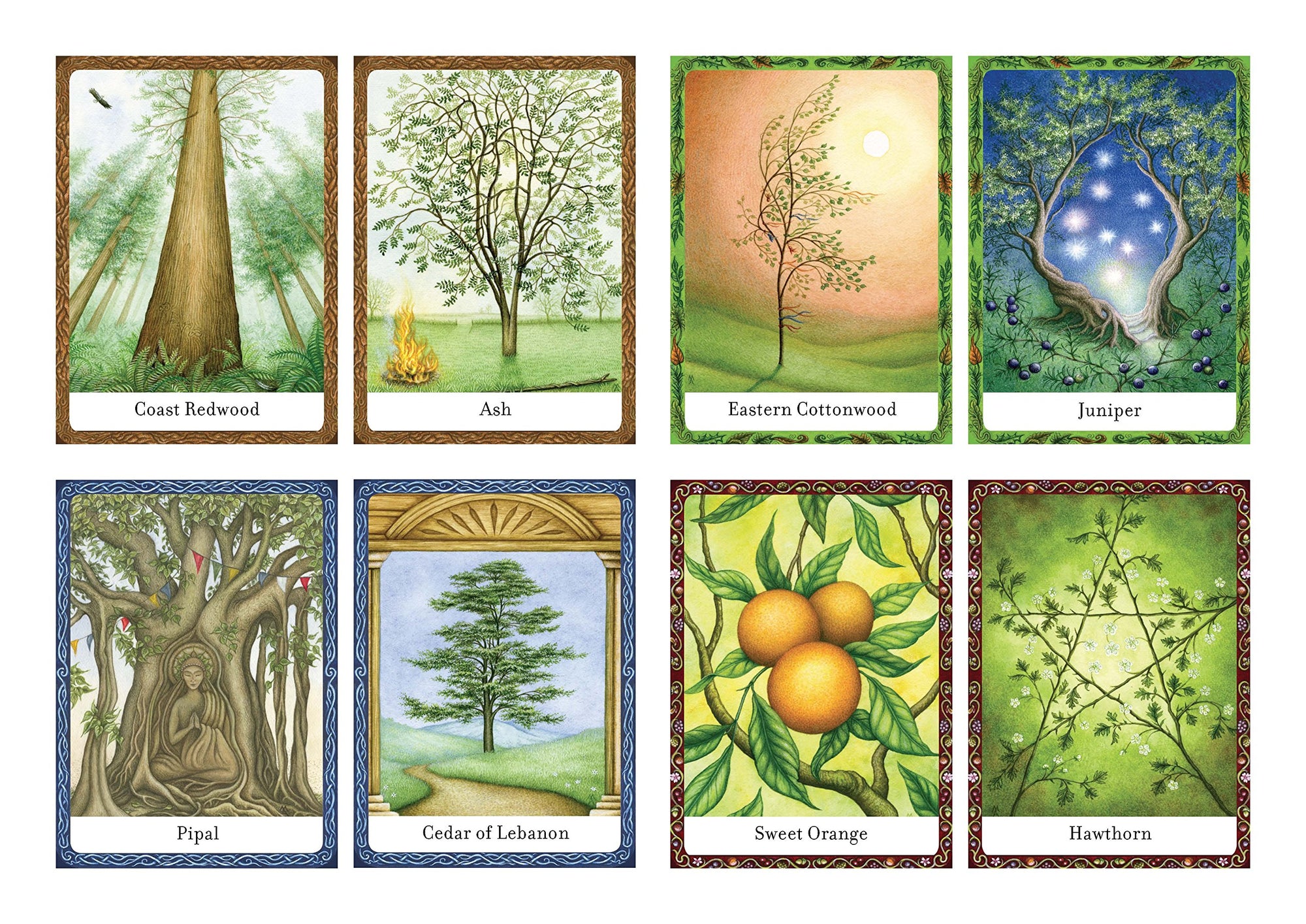 The Wisdom of Trees Oracle Inspirational Card Deck || Jane Struthers