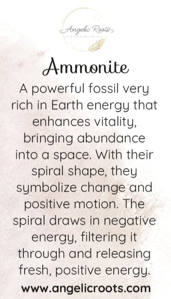 Ammonite Crystal Card