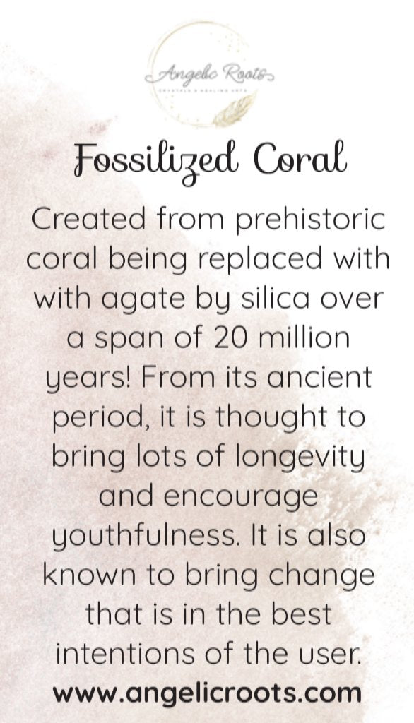 Fossilized Coral Crystal Card
