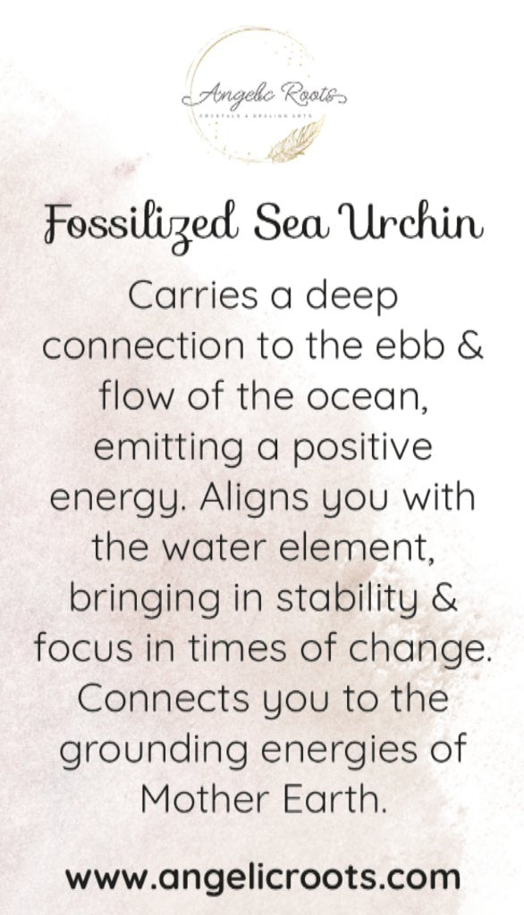 Fossilized Sea Urchin Crystal Card