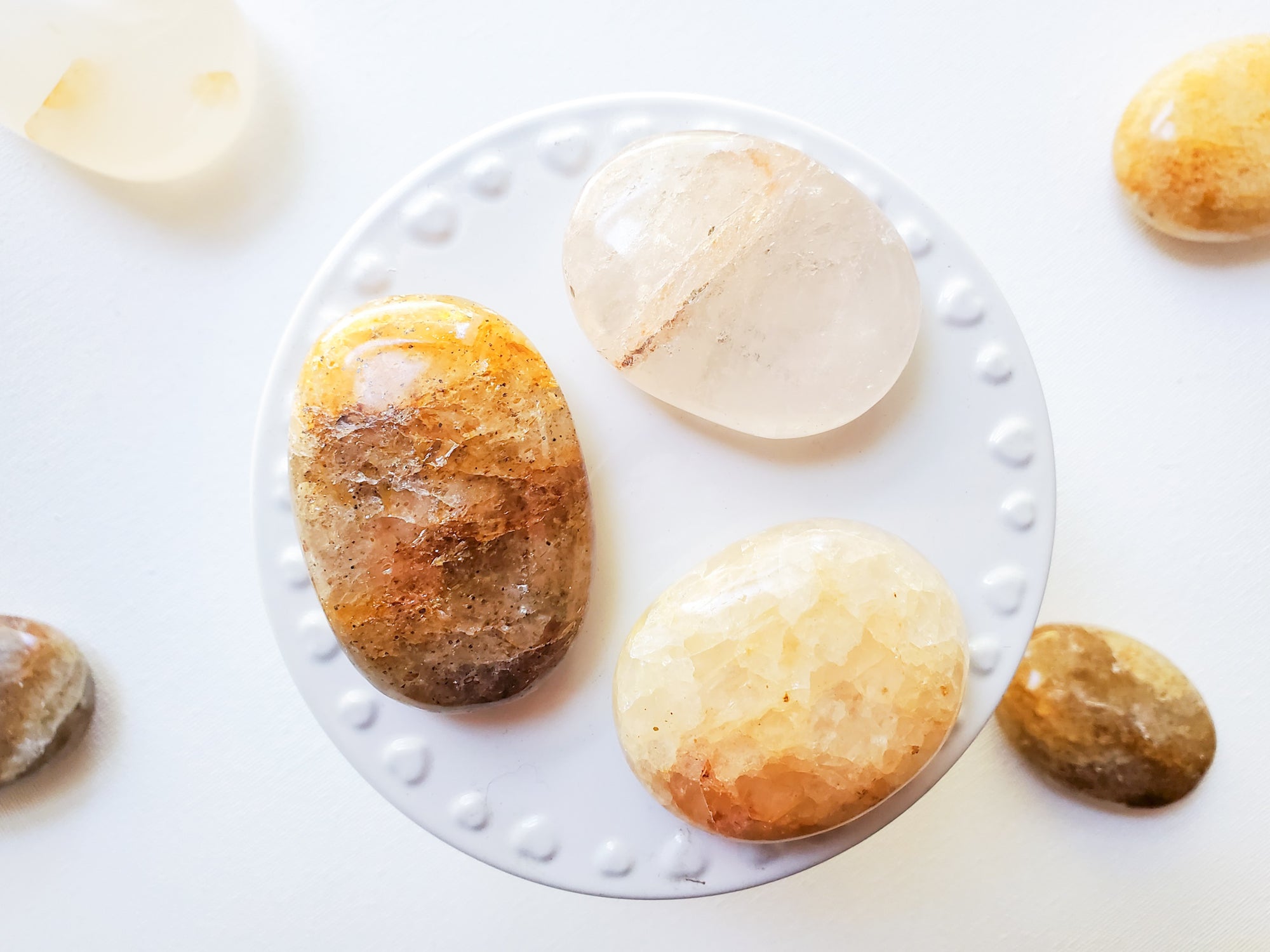 Golden Healer Palm Stone || Madagascar