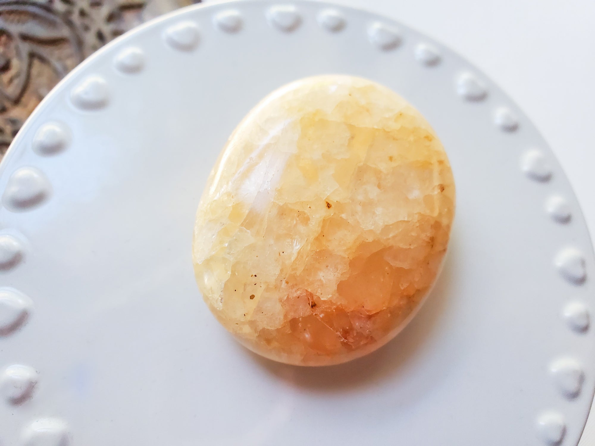 Golden Healer Palm Stone || Madagascar