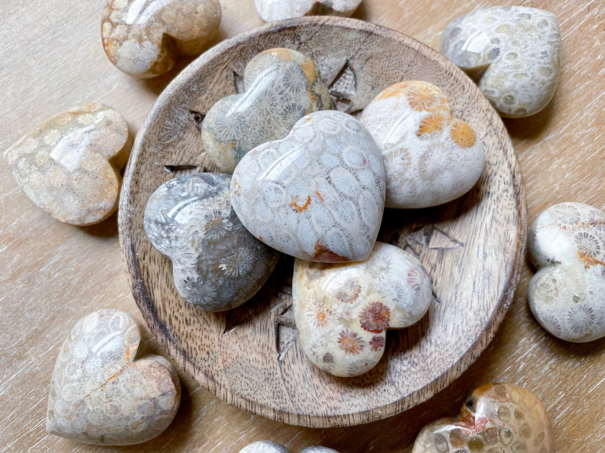 Fossilized Coral Heart