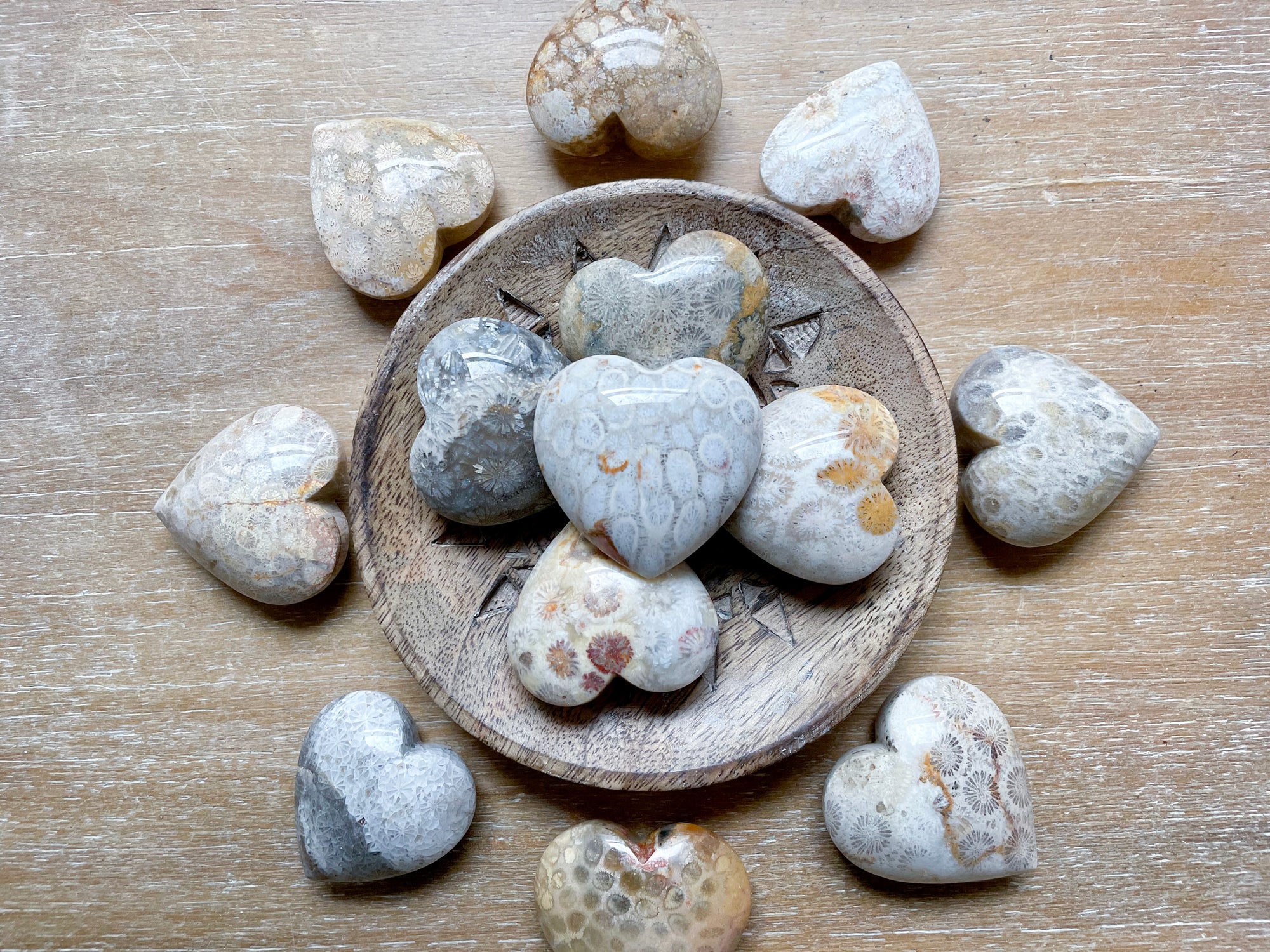 Fossilized Coral Heart