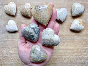 Fossilized Coral Heart