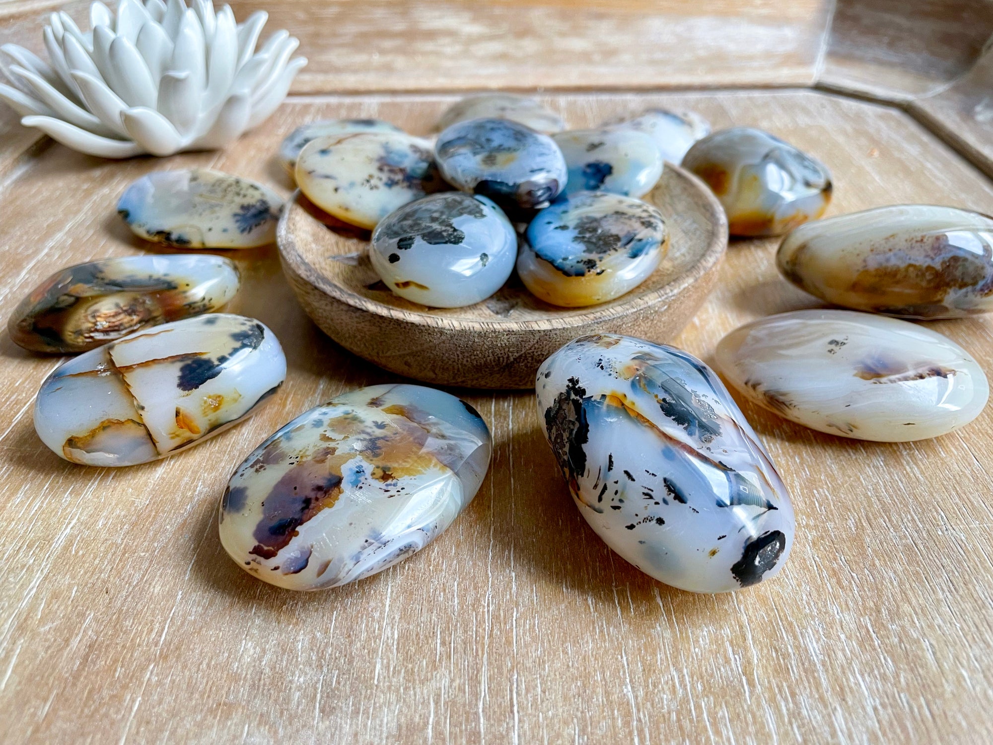 Dendritic Agate Palm Stone