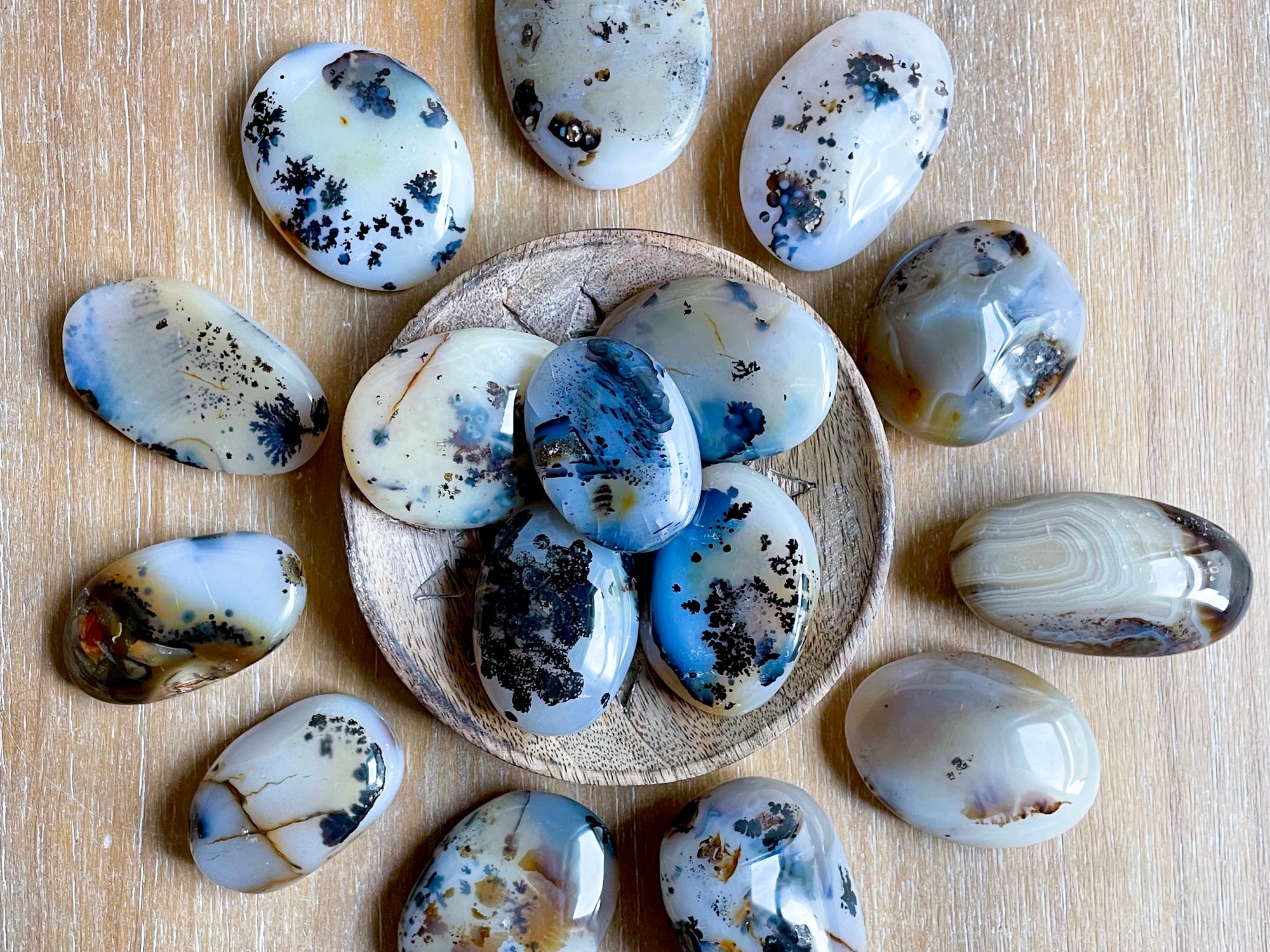 Dendritic Agate Palm Stone