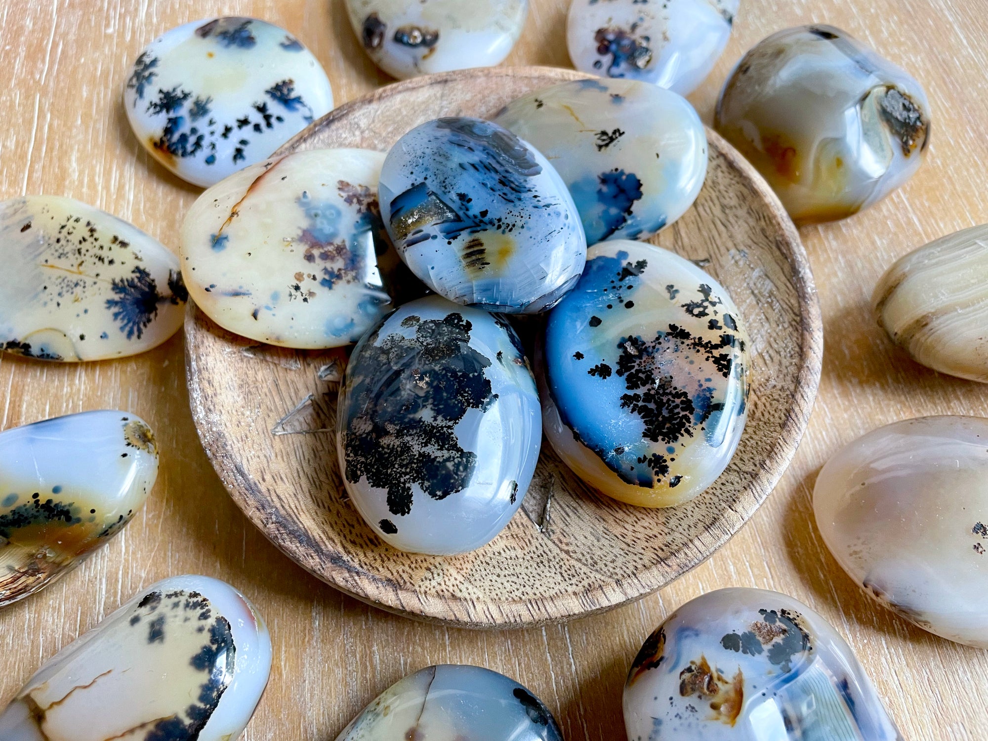 Dendritic Agate Palm Stone