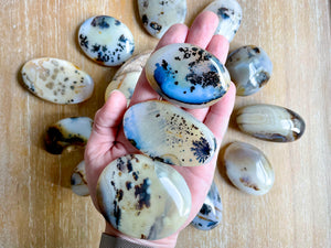 Dendritic Agate Palm Stone