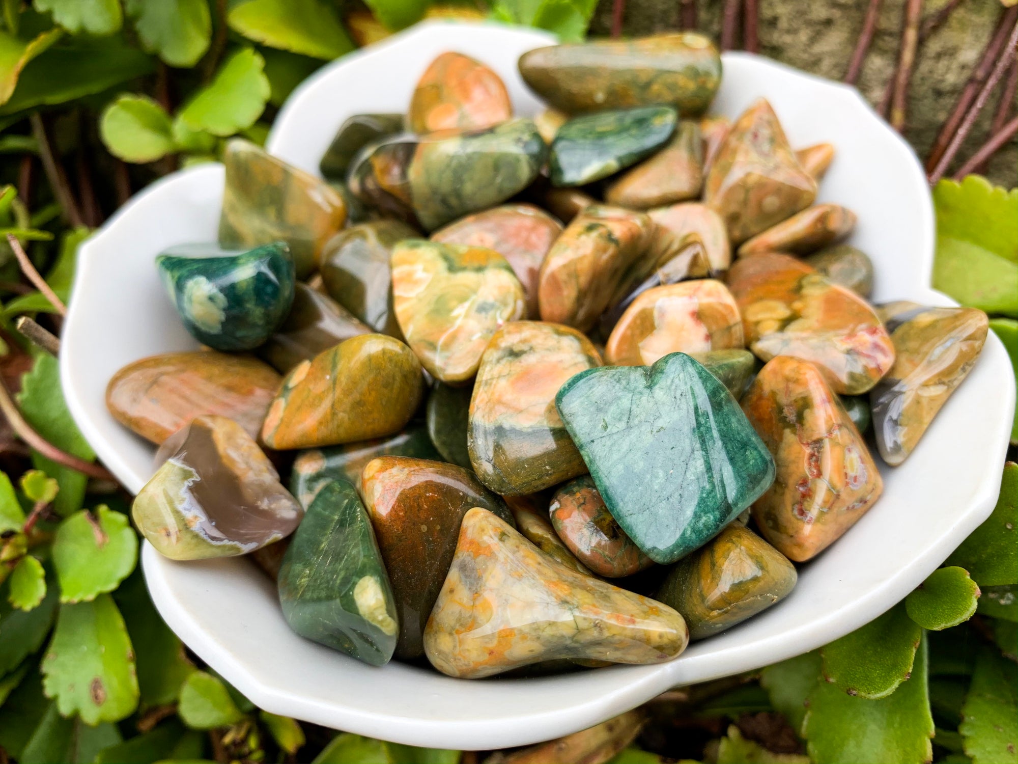 Rainforest Jasper Tumbled Stone