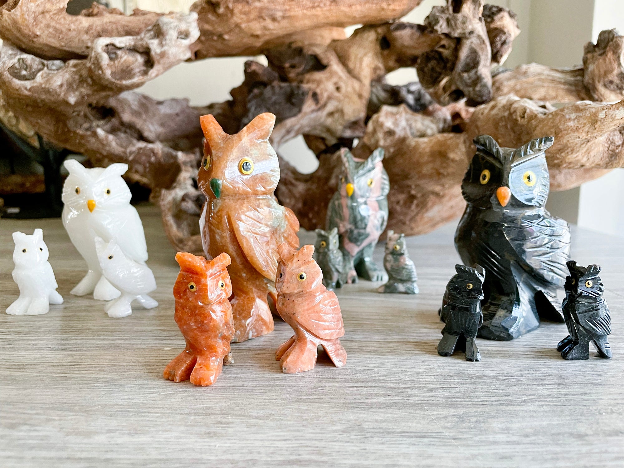 Owl Crystal Family