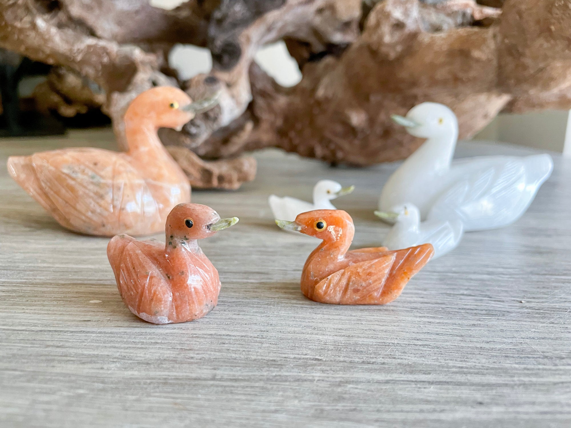 Swan Crystal Family