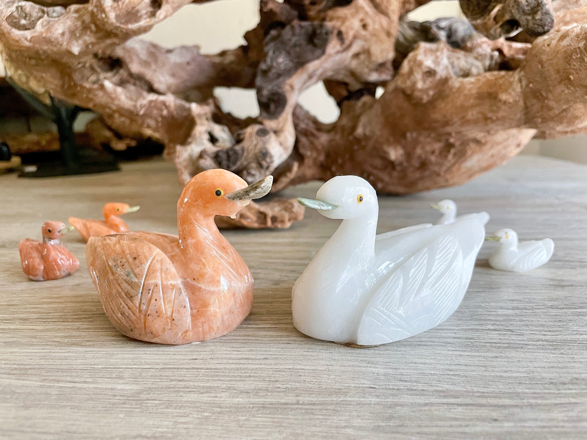 Swan Crystal Family