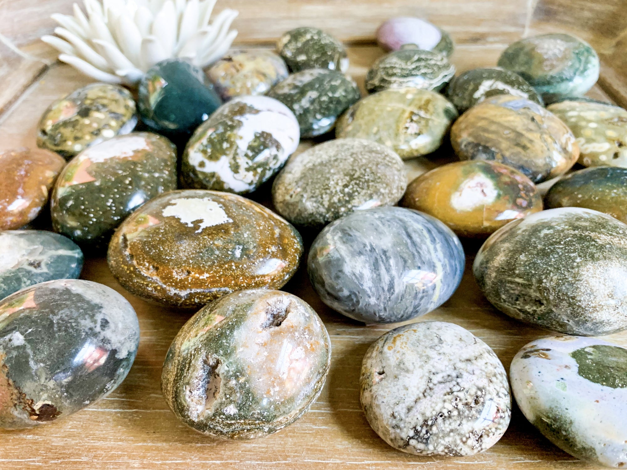 Ocean Jasper Palm Stone