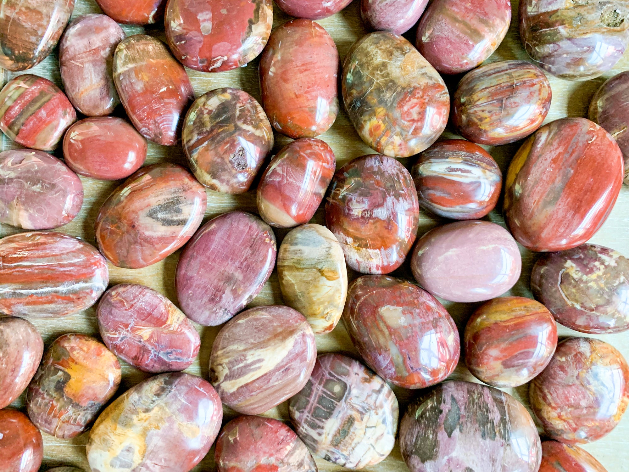 Petrified Wood Palm Stone