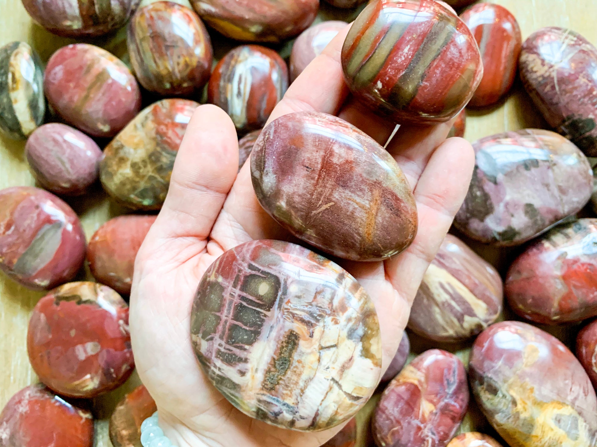 Petrified Wood Palm Stone