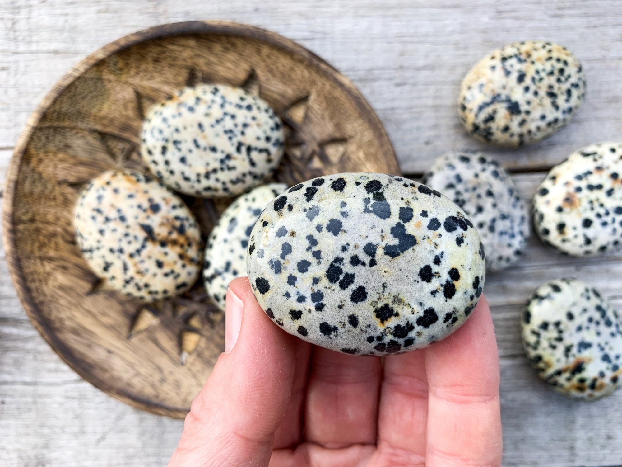 Dalmatian Jasper Palm Stone