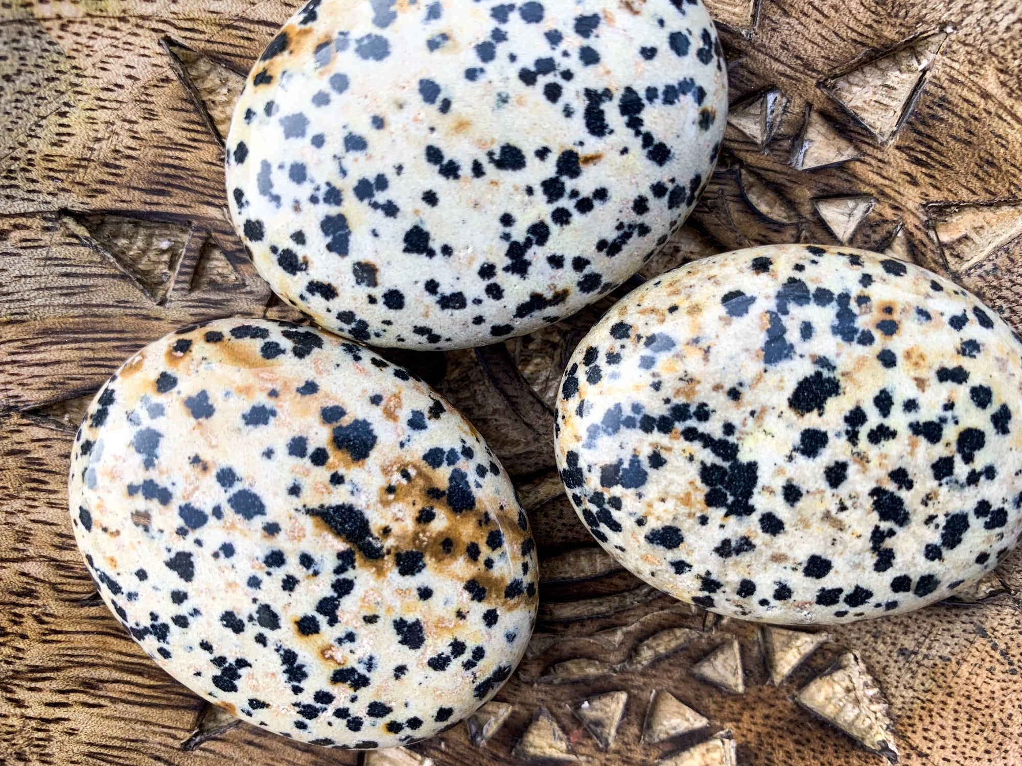 Dalmatian Jasper Palm Stone