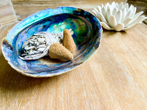 Abalone Shell || Large