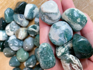 Moss Agate Tumbled Stone