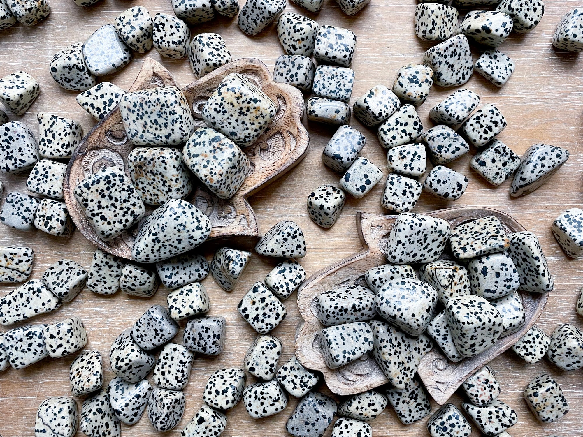 Dalmatian Jasper Tumbled Stone