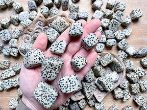 Dalmatian Jasper Tumbled Stone