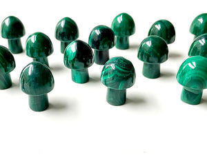 Mini Crystal Mushroom || 0.75" - Malachite