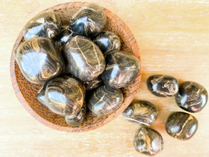 Stromatolite Tumbled Stone