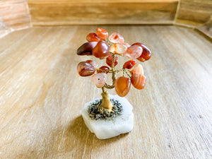 Crystal Bonsai Mini Tree Carnelian
