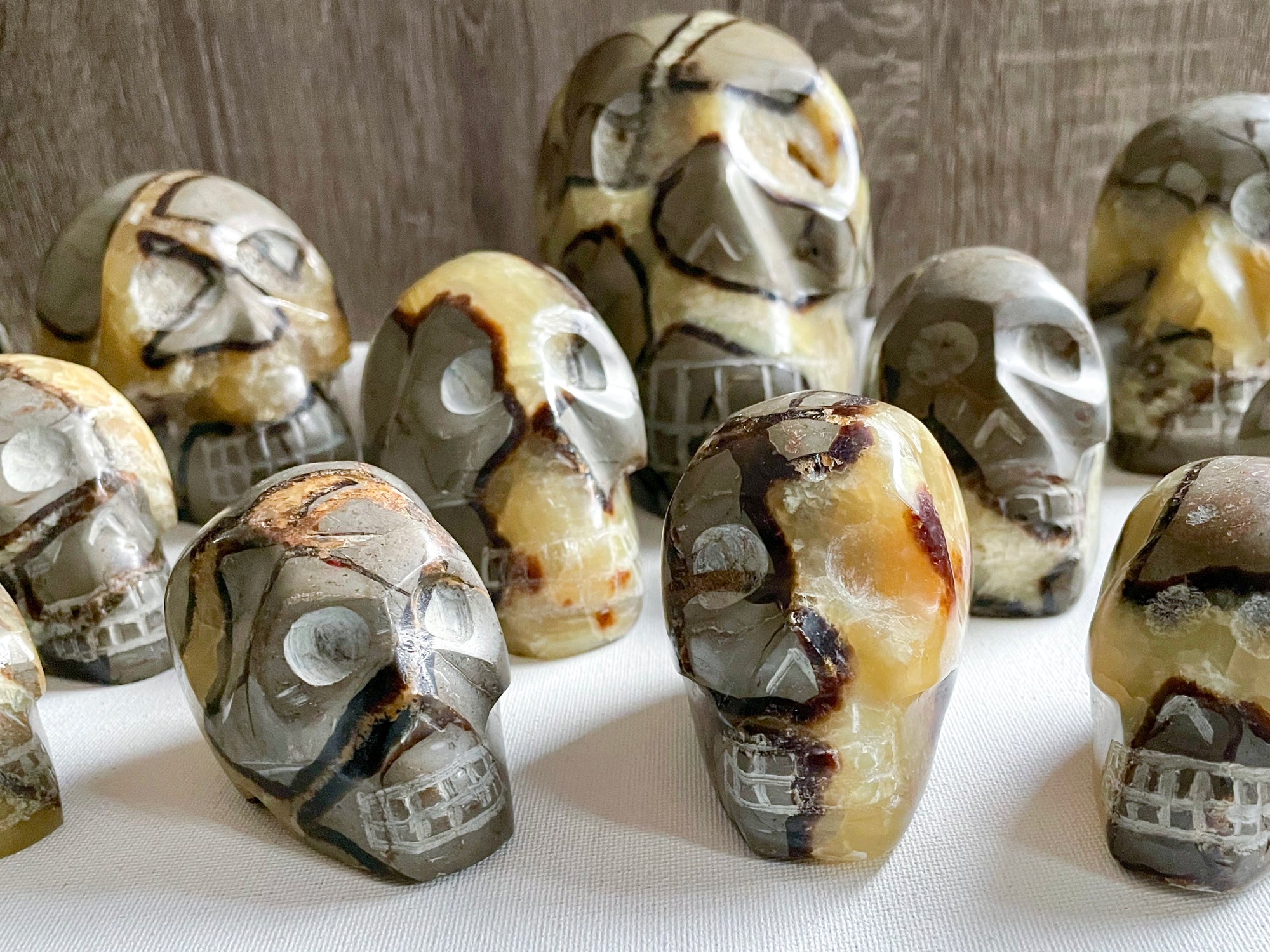 Septarian Skull