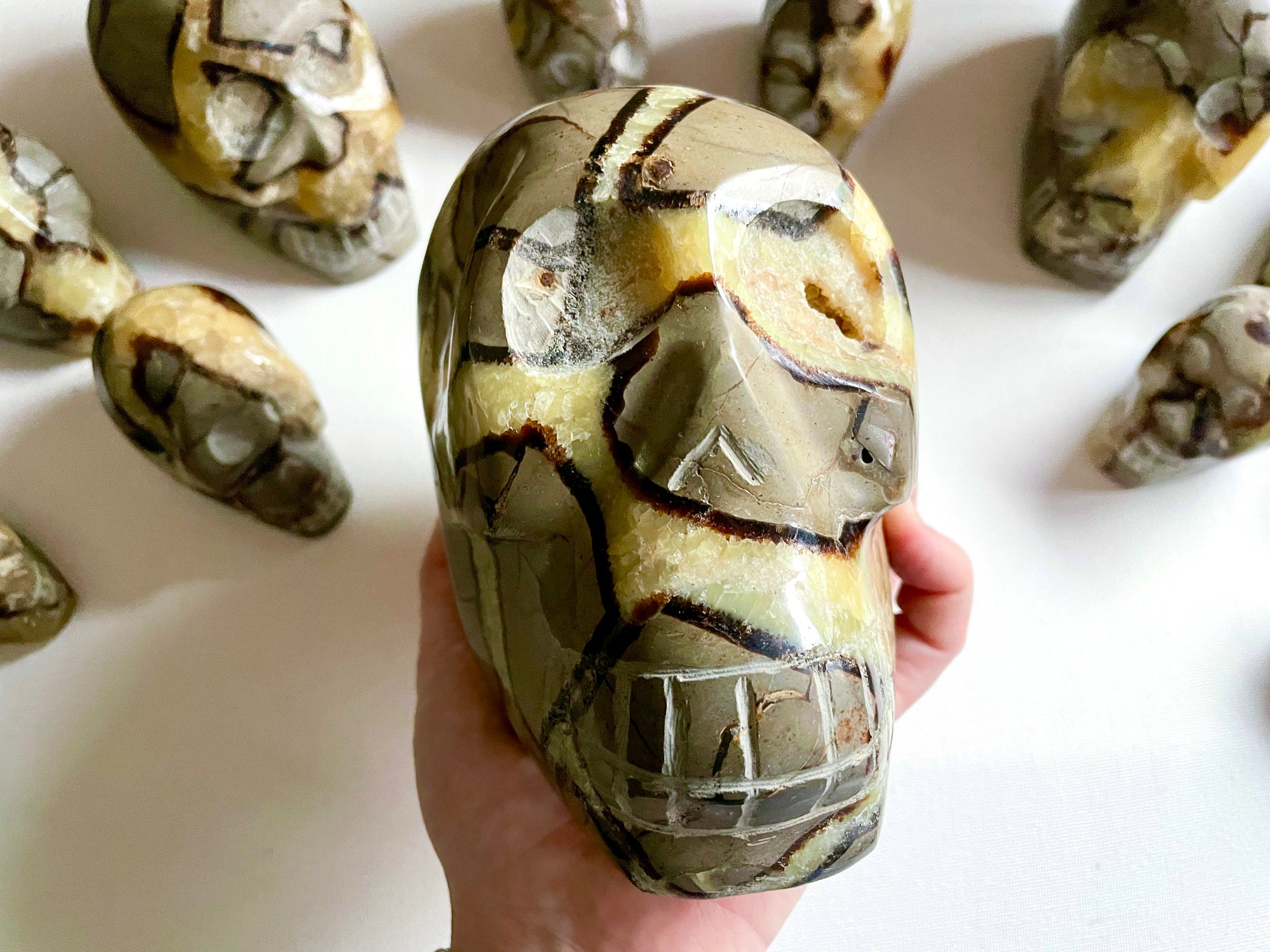 Septarian Skull