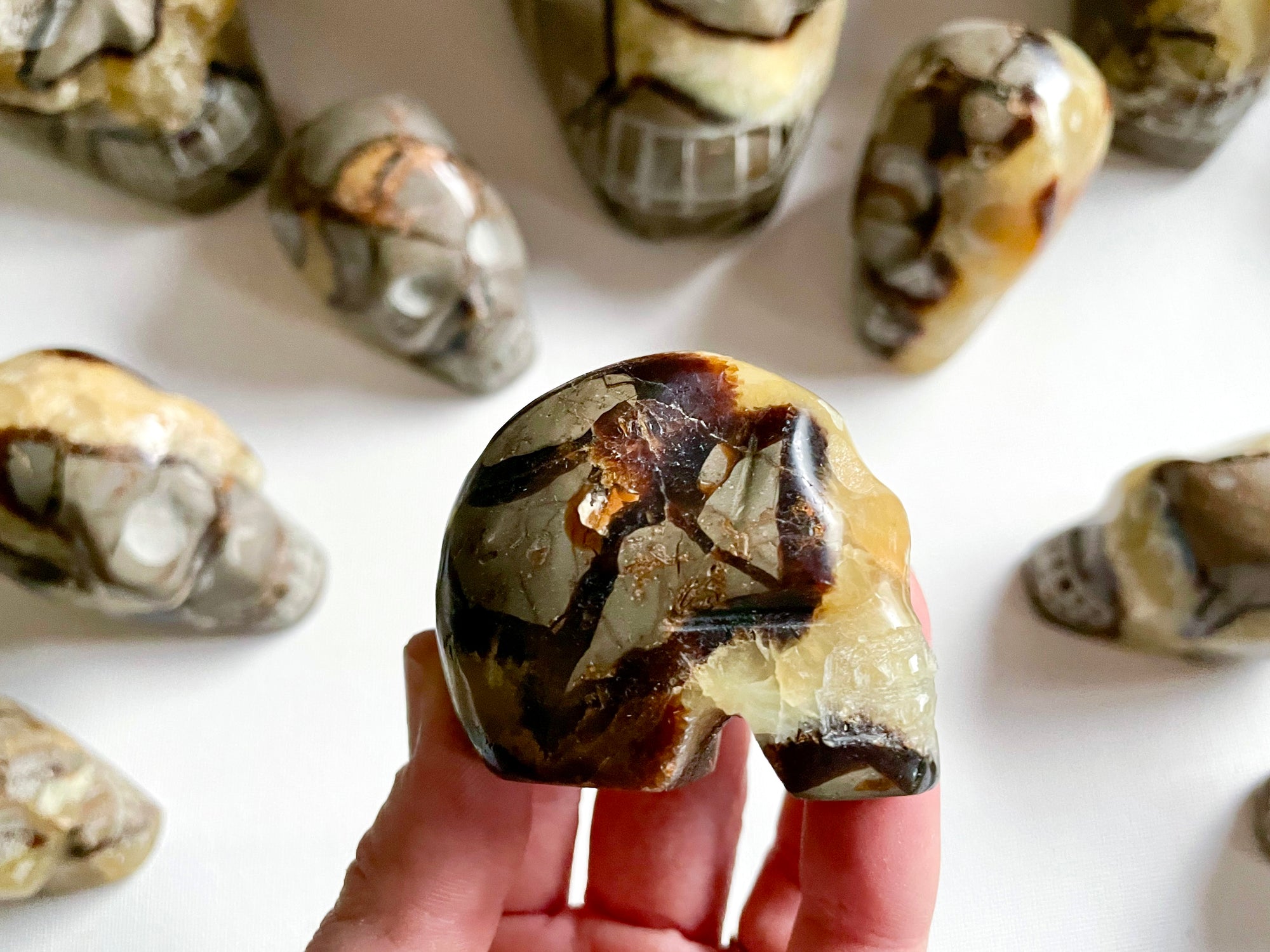 Septarian Skull