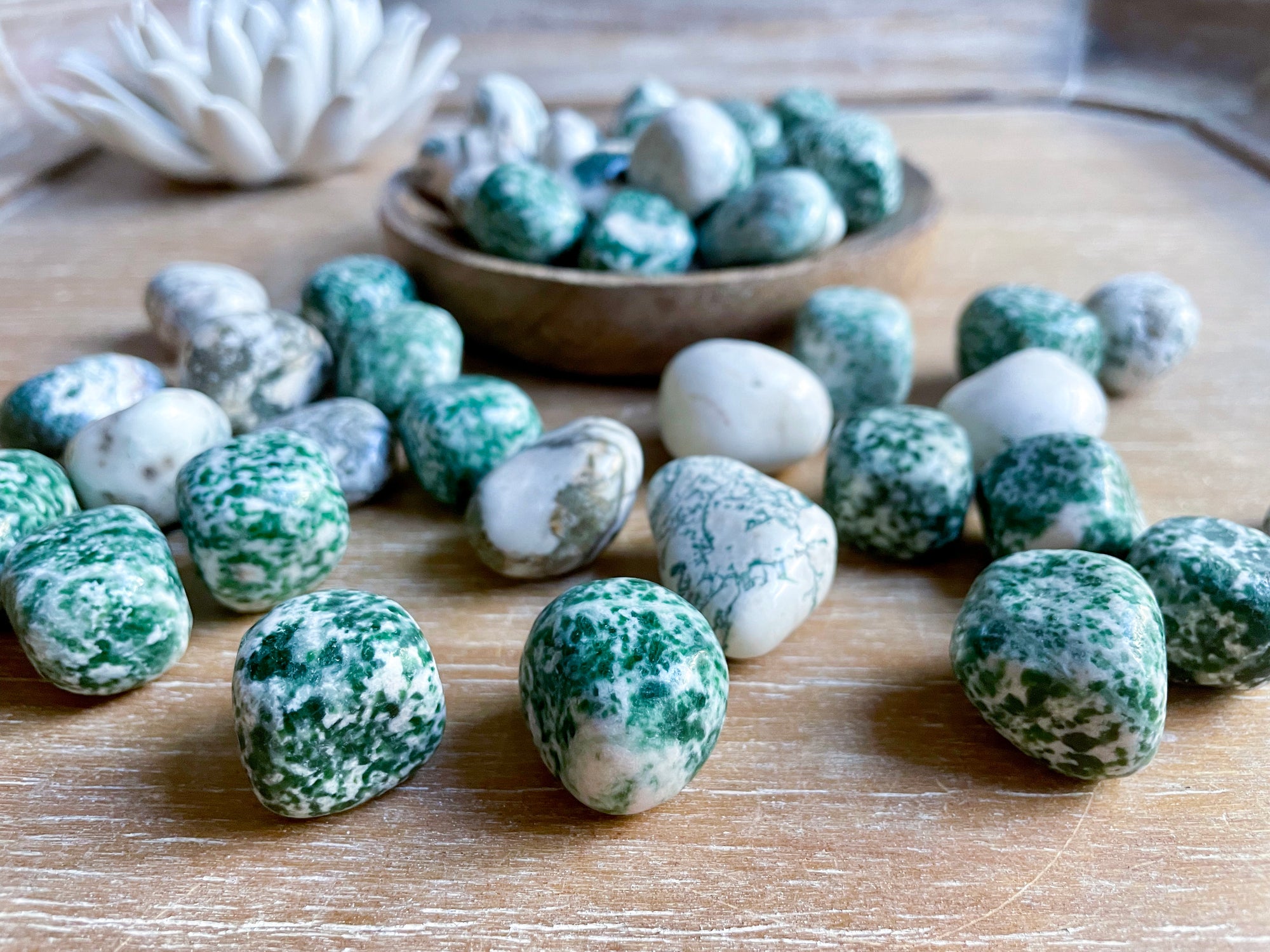 Tree Agate Tumbled Stone