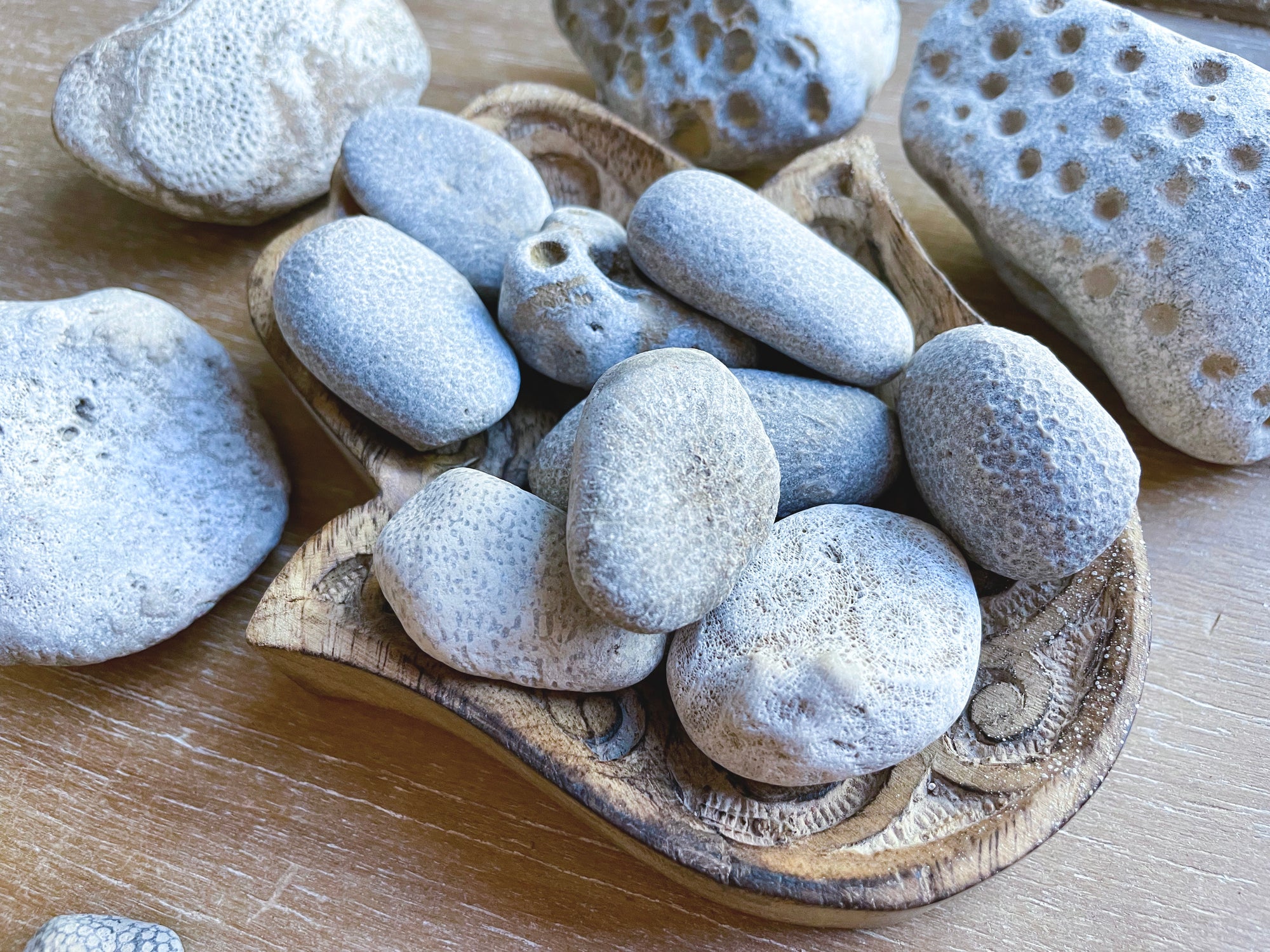 Petoskey Stone