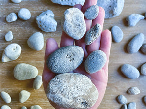 Petoskey Stone