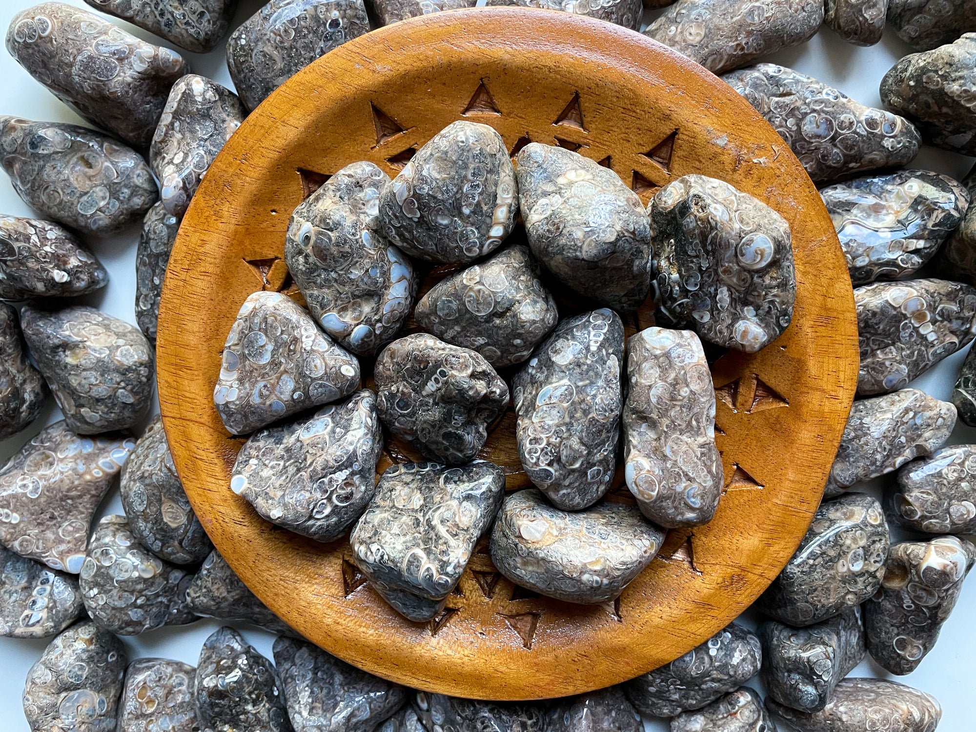 Fossil Jasper Tumbled Stone