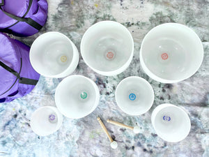 Chakra Crystal Singing Bowl Set with Carrying Case