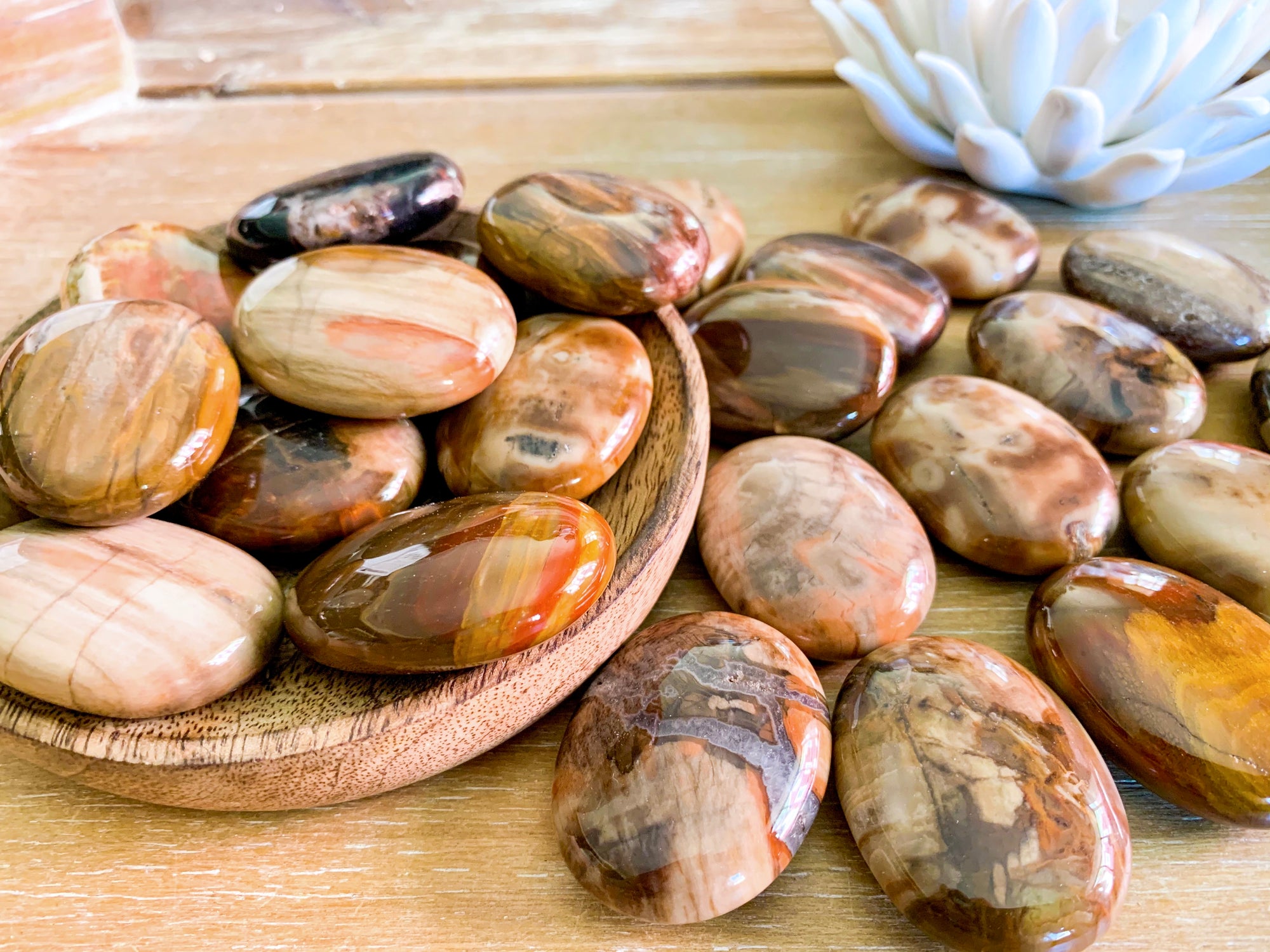 Petrified Wood Palm Stone