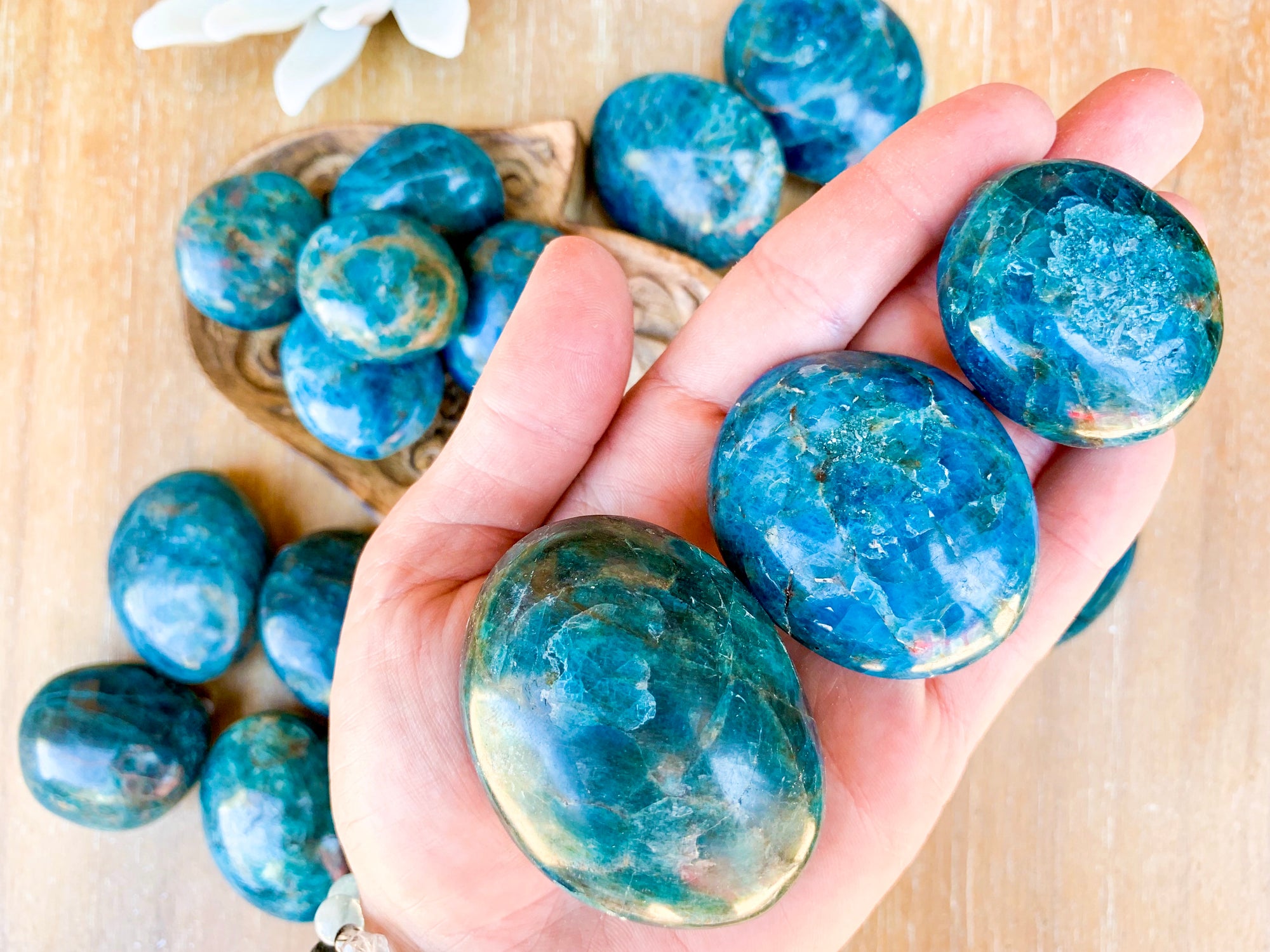 Apatite Palm Stone - Medium