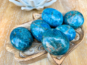 Apatite Palm Stone - Small