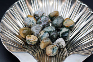 Ocean Jasper Tumbled Stone