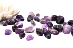 Amethyst Tumbled Stone || Small